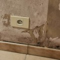 Wat gebeurt er als je muur nat wordt?